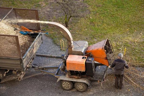 Tree Removal Service Mobile with Safe Tree Cutting Solutions