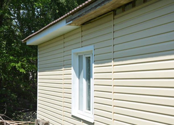 Understanding the Pros and Cons of Vinyl Siding