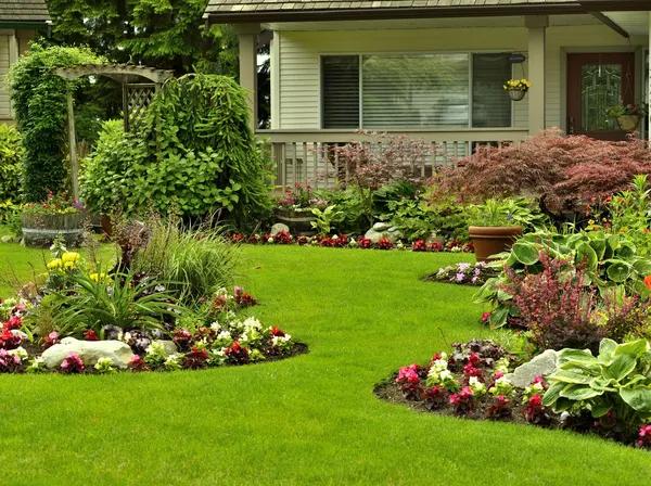 Crafting Your Own Urban Oasis: The Rise of DIY Gardens